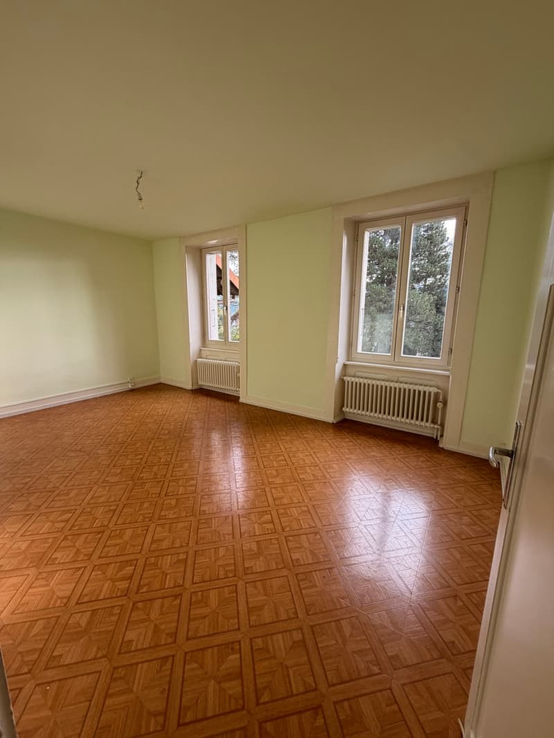 Appartement de 3,5 pièces avec grande terrasse (5)