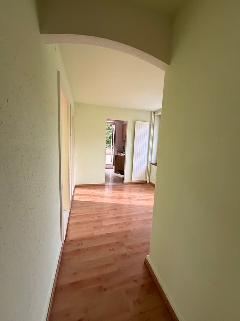 Appartement de 3,5 pièces avec grande terrasse (2)