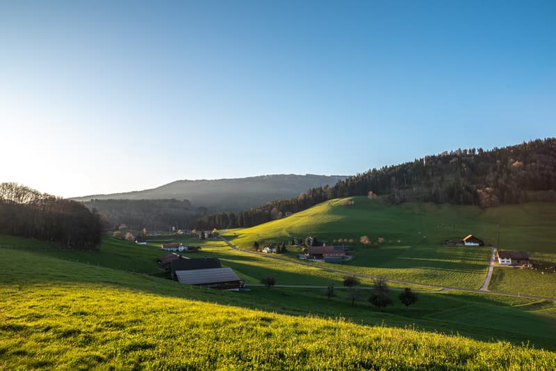 9 villas contemporaines à Treyvaux - nouvelles constructions (5)