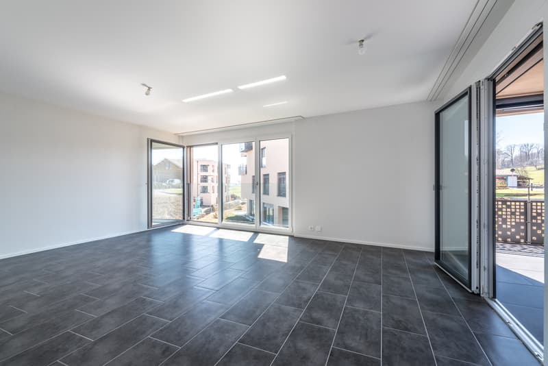 Magnifique 4.5 pièces avec loggia au rez-supérieur (2)