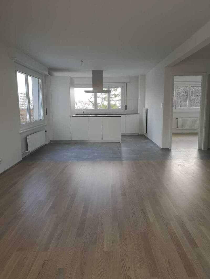 Lumineux 3.5 pièces au 5ème en cours de rénovation (5)