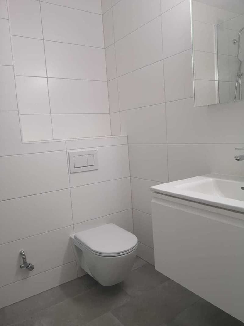 Lumineux 3.5 pièces au 5ème en cours de rénovation (6)