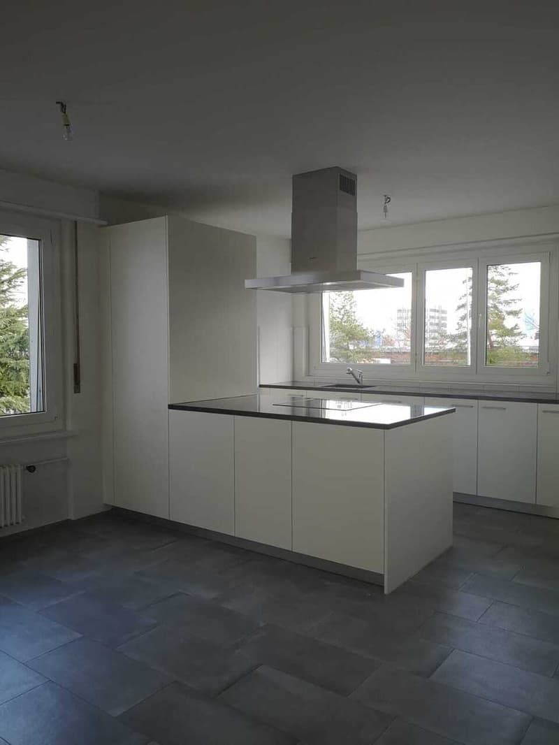 Lumineux 3.5 pièces au 5ème en cours de rénovation (4)