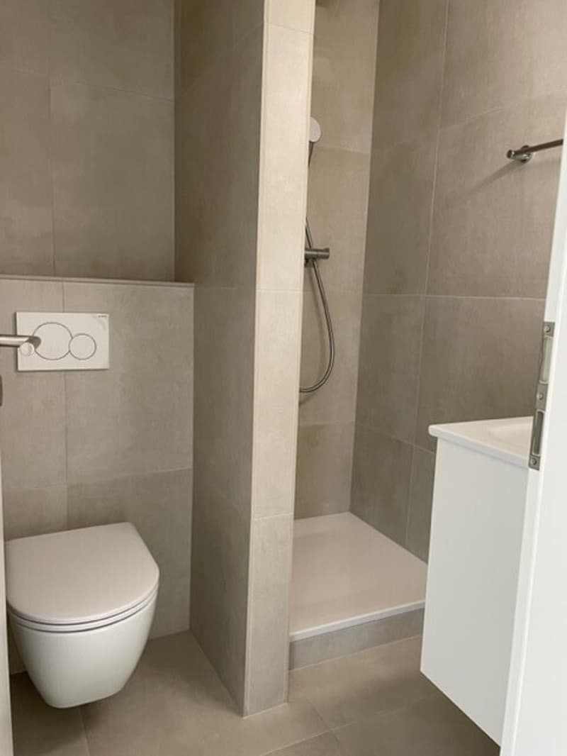 Appartement 2.5 pièces au 1er étage rénovation complète en juin 2026 (4)
