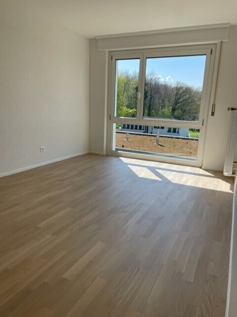 Appartement 2.5 pièces au 1er étage rénovation complète en juin 2026 (1)