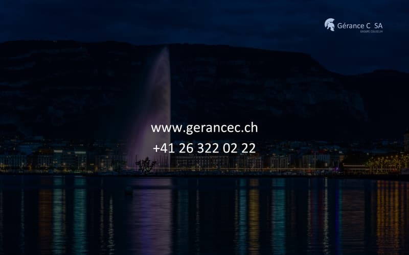 Appartement neuf de 3 pièces à quelques pas de la gare de Genève (10)