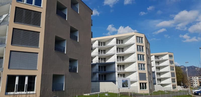Lumineux 2.5 pièce de 56 m2 (6)