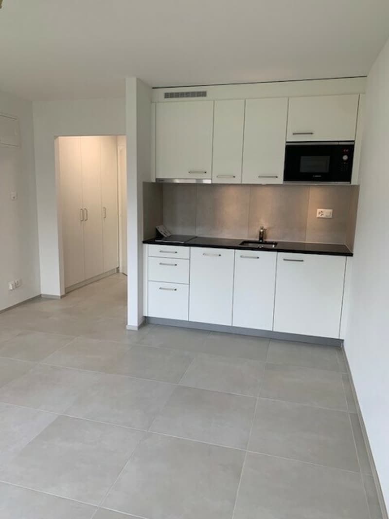 Lumineux Studio rénové à Villars-sur-Glâne (1)