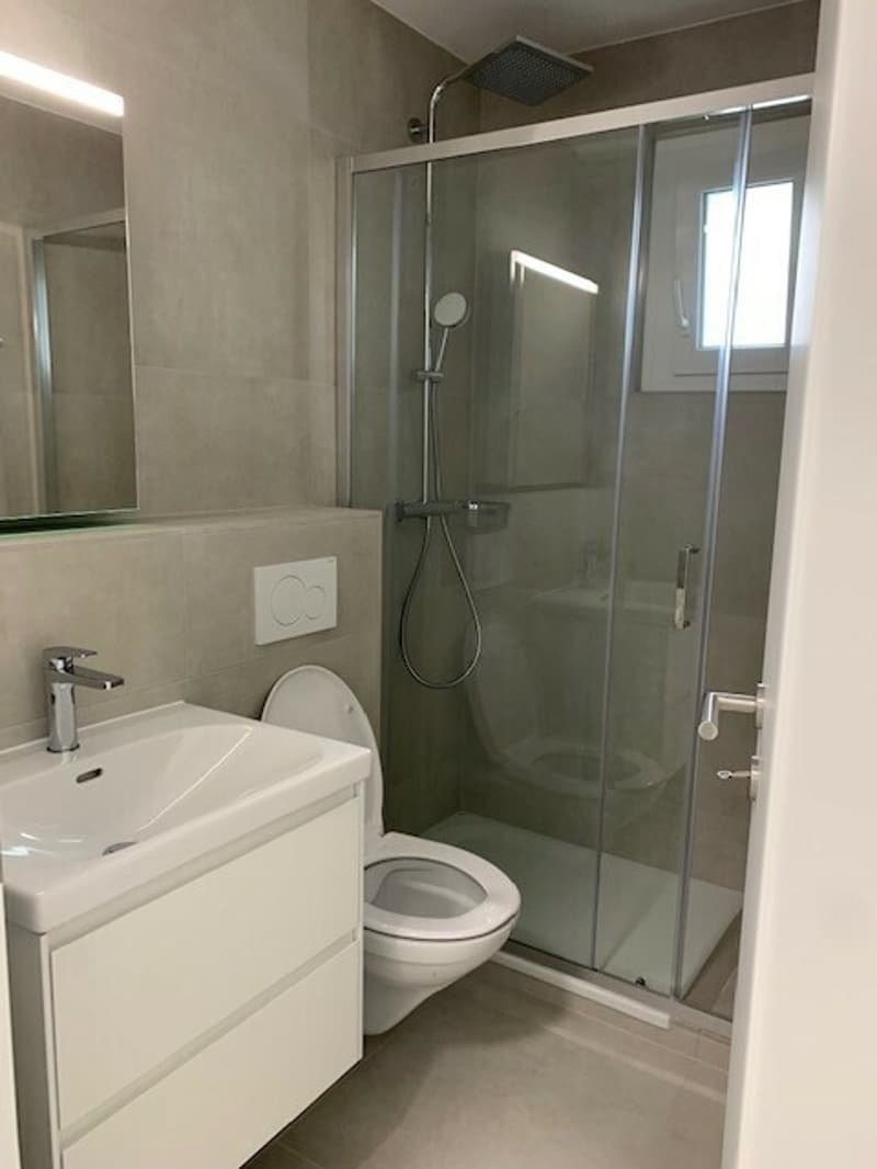 Lumineux Studio rénové à Villars-sur-Glâne (3)
