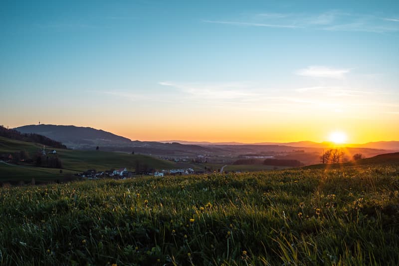 LES HORIZONS DE LA SARINE - VILLAS NEUVES À TREYVAUX (11)