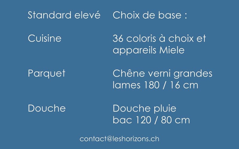 LES HORIZONS DE LA SARINE - VILLAS NEUVES À TREYVAUX (3)