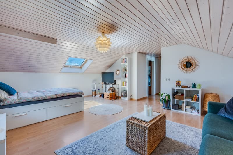 white walls, bed, TV, cabinet, mirror, rug, coffee table, shelves, window