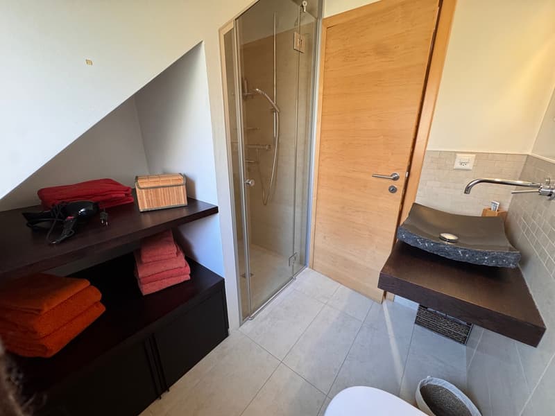 Magnifique maison de 5.5 pièces au centre de Blonay meublée ou non (13)