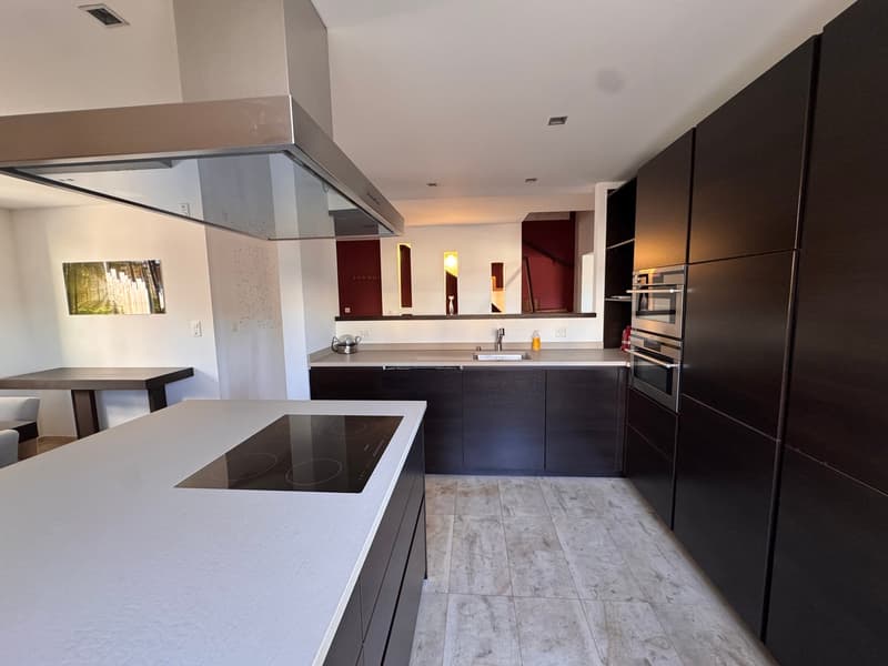 Magnifique maison de 5.5 pièces au centre de Blonay meublée ou non (3)