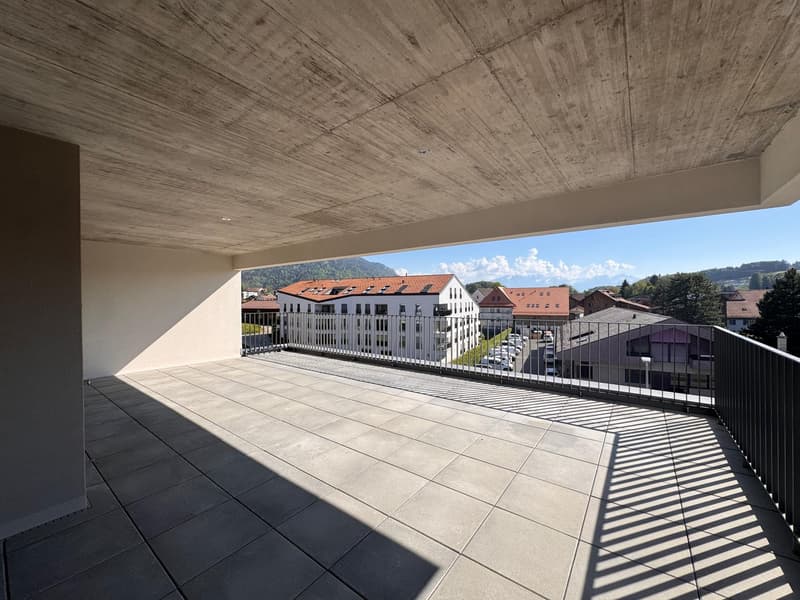 À saisir - Magnifique appartement en attique neuf de 4.5 pièces avec grandes terrasses (5)