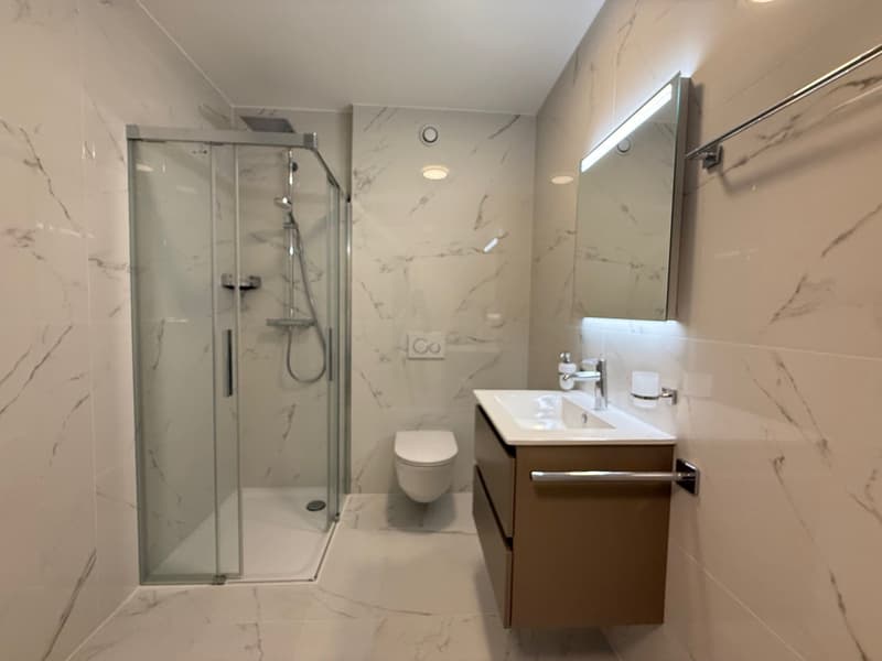 Beau 3.5 pièce neuf de stanting avec terrasse & jardin dans résidence avec piscine (6)