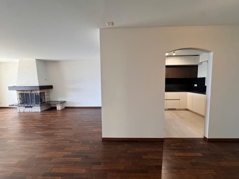 Magnifique appartement de 4,5 pièces avec vue dominante sur le lac (17)