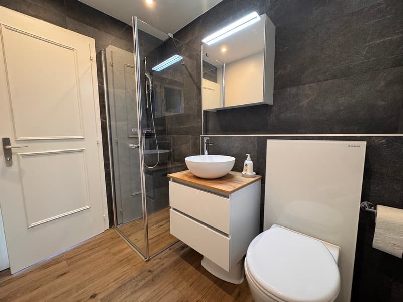 Magnifique appartement de 4,5 pièces avec vue dominante sur le lac (7)