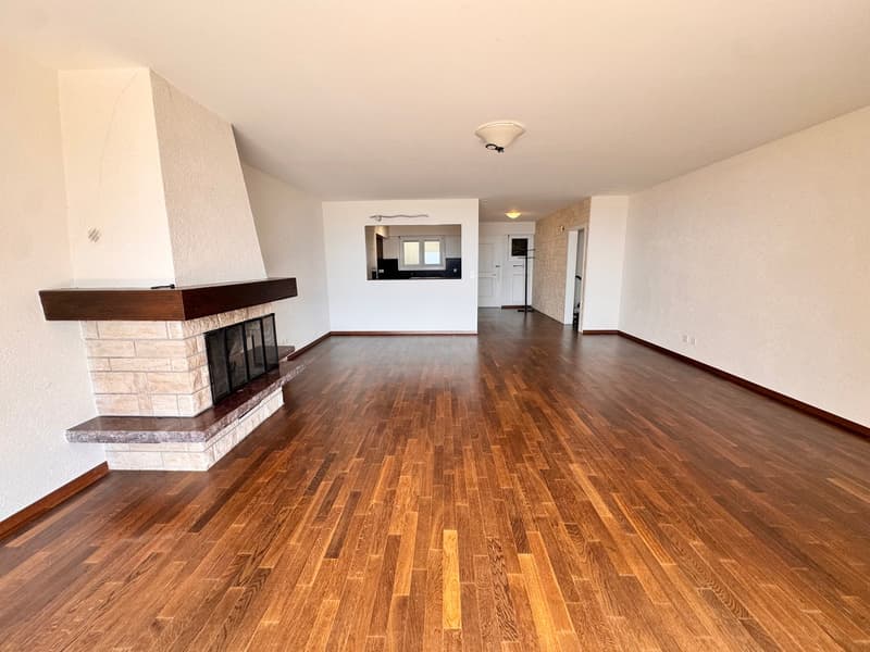 Magnifique appartement de 4,5 pièces avec vue dominante sur le lac (4)