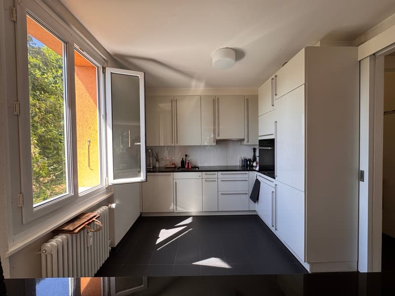 Charmant appartement de 4 pièces avec belle vue sur le lac (5)