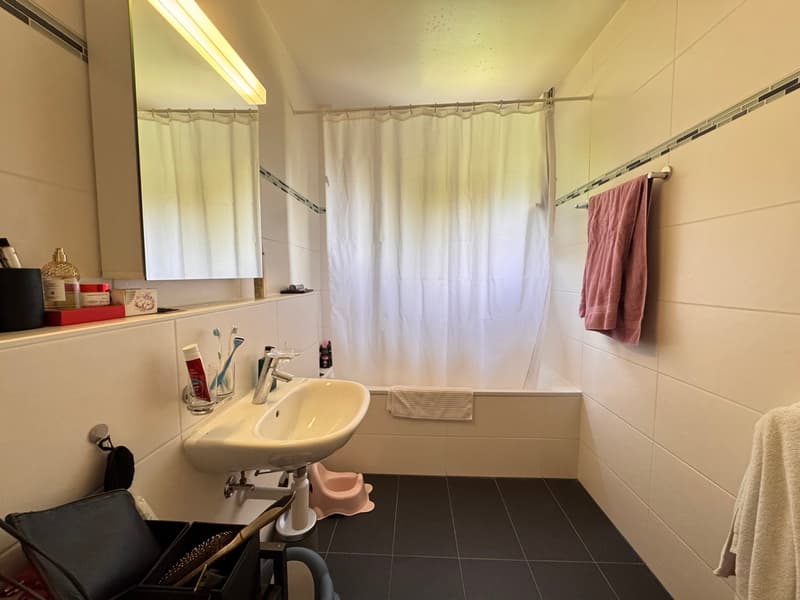 Charmant appartement de 4 pièces avec belle vue sur le lac (13)