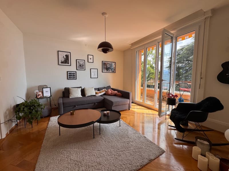 Charmant appartement de 4 pièces avec belle vue sur le lac (2)