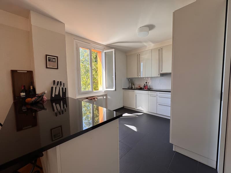Charmant appartement de 4 pièces avec belle vue sur le lac (6)