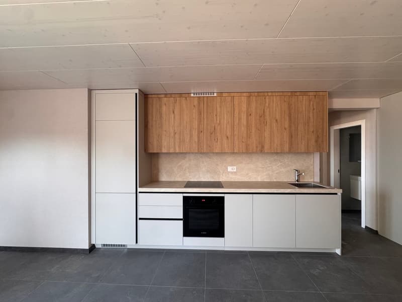 Appartement de 3,5 pièces neuf dans une bâtisse de caractère – Brent (Montreux) (2)