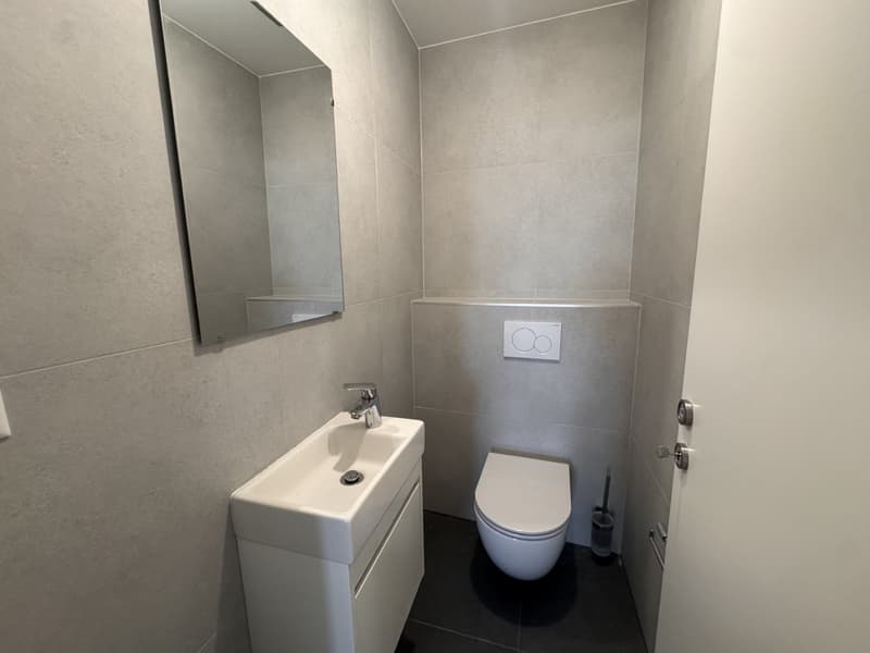 Appartement de 3,5 pièces neuf dans une bâtisse de caractère – Brent (Montreux) (5)