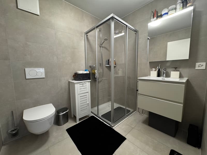 Appartement neuf de 4 pièces avec balcon à Châtel-Saint-Denis (11)
