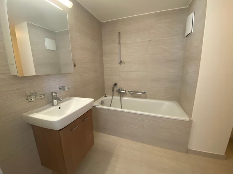Charmant appartement de 3 pièces dans petit immeuble locatif (3)
