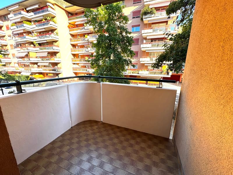 Charmant appartement de 4.5 pièces remis à neuf (15)
