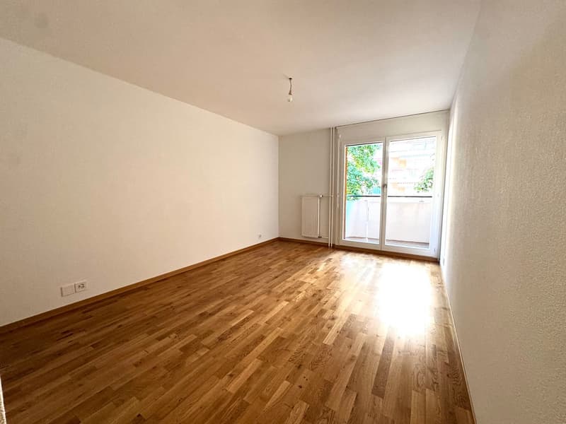 Charmant appartement de 4.5 pièces remis à neuf (12)