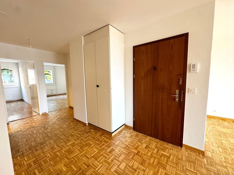 Charmant appartement de 4.5 pièces remis à neuf (8)