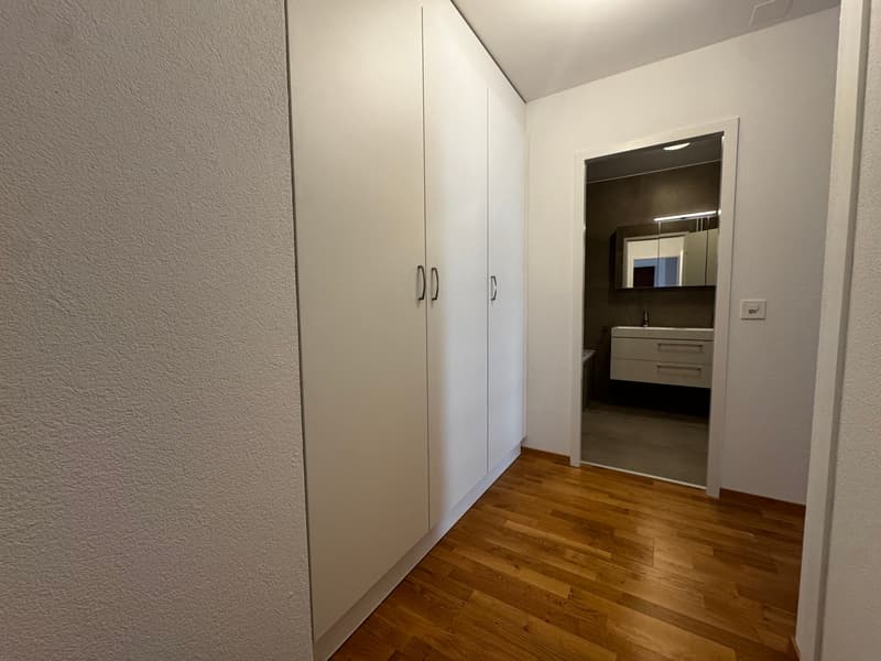 Charmant appartement de 4.5 pièces remis à neuf (13)