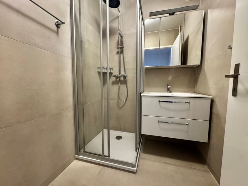 Charmant appartement de 4.5 pièces remis à neuf (6)