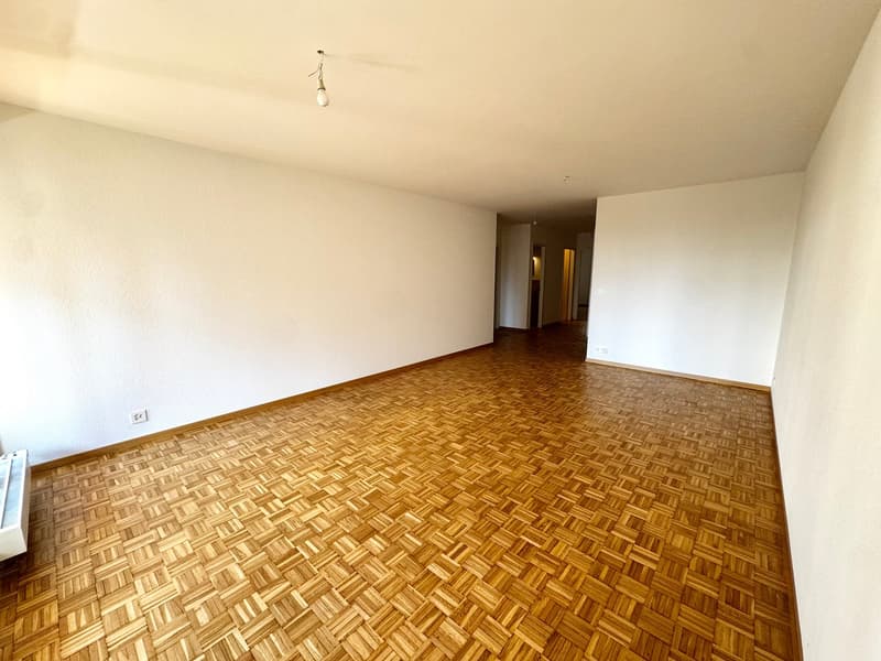 Charmant appartement de 4.5 pièces remis à neuf (9)