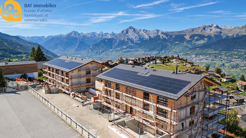 Chantier alpin face aux montagnes