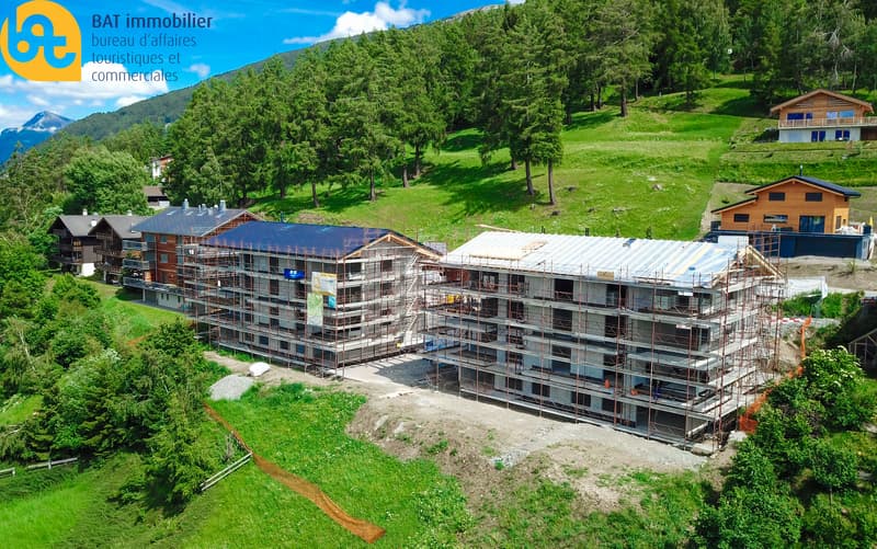 DJI_0208-2