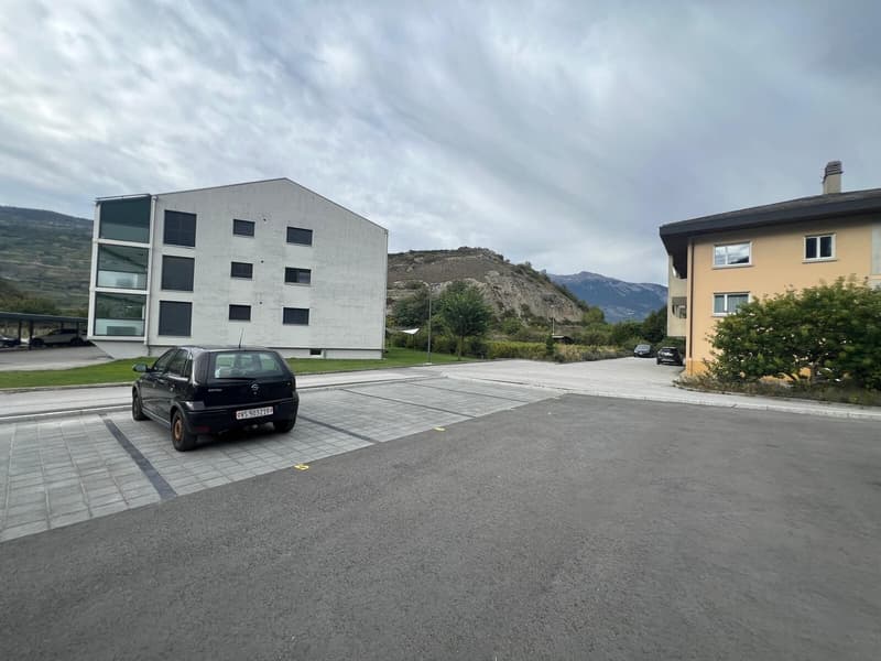 tzaly parc