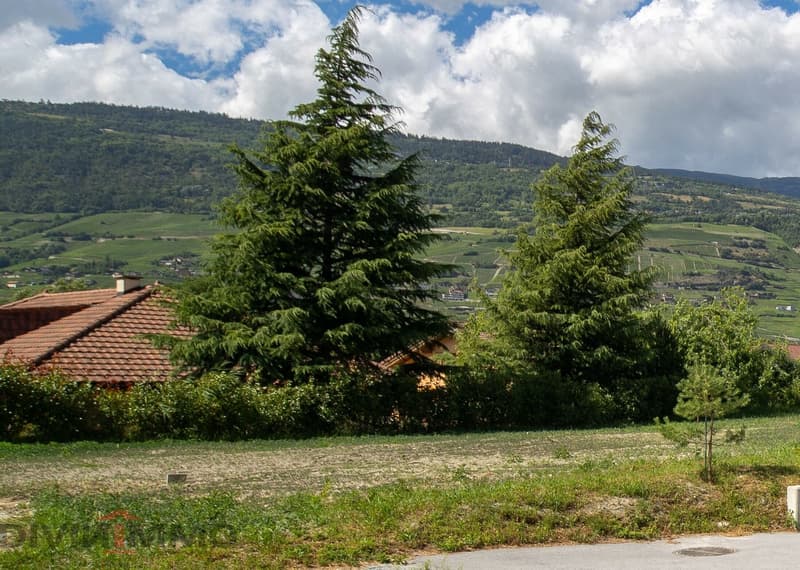 3966 Chalais