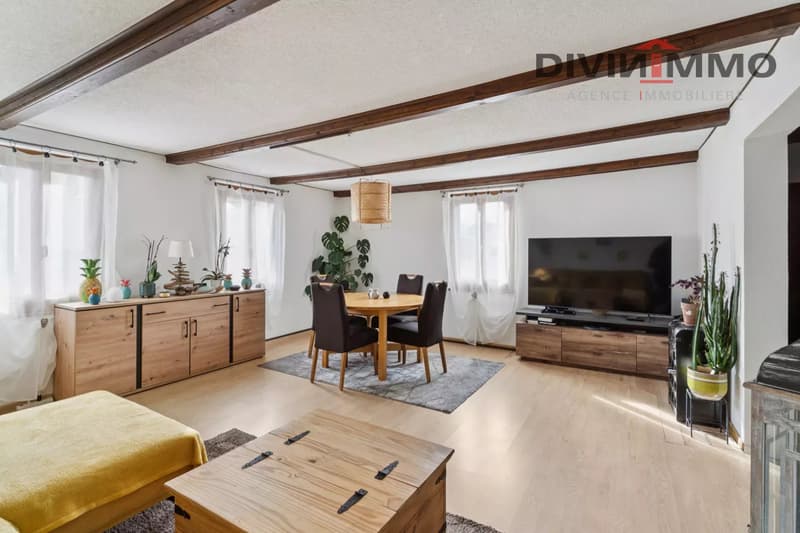 Duplex de 5.5 pièces dans une maison villageoise (4)