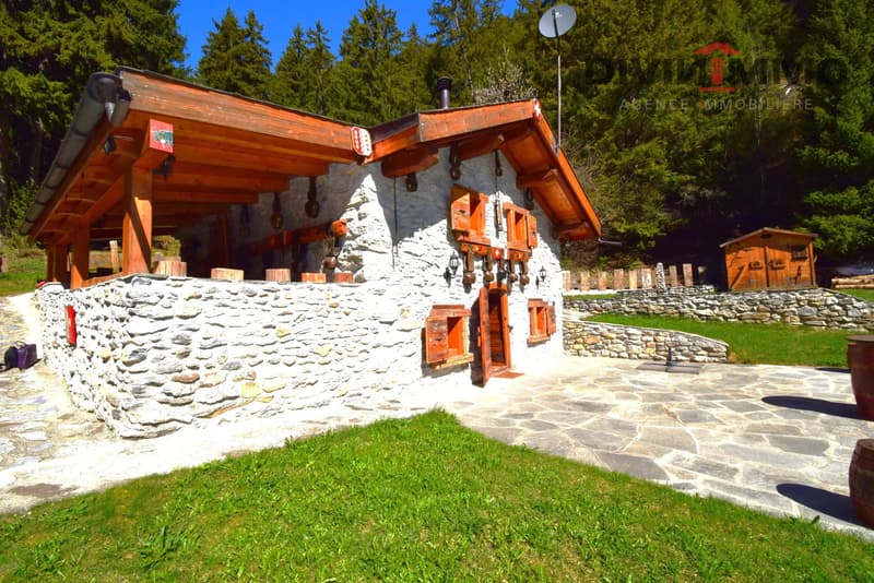 Chalet atypique aux Mayens-de-My de Conthey (13)