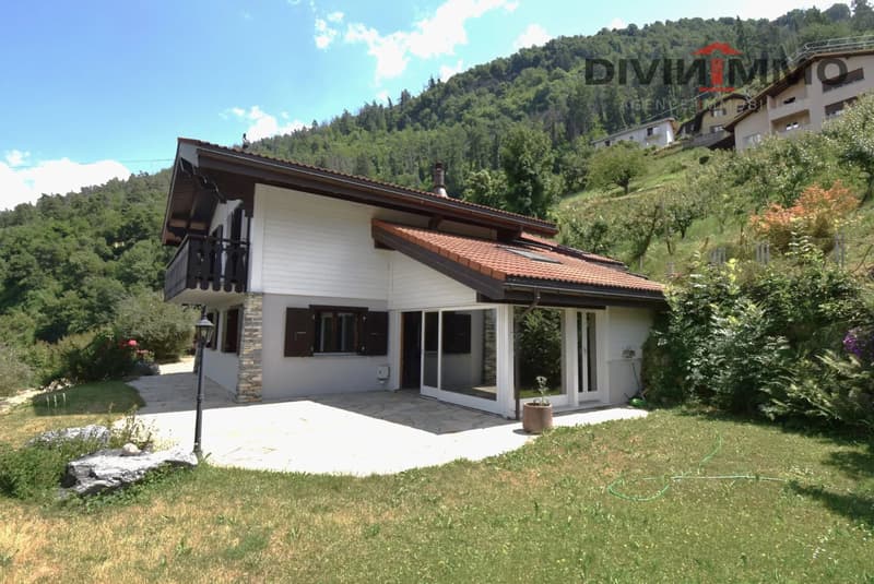 Belle maison avec spa, garage et couvert (1)