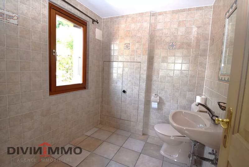 Belle maison avec spa, garage et couvert (9)