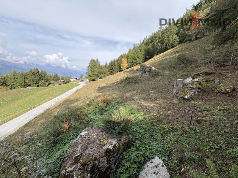 Magnifique parcelle aux portes de Haute-Nendaz (3)