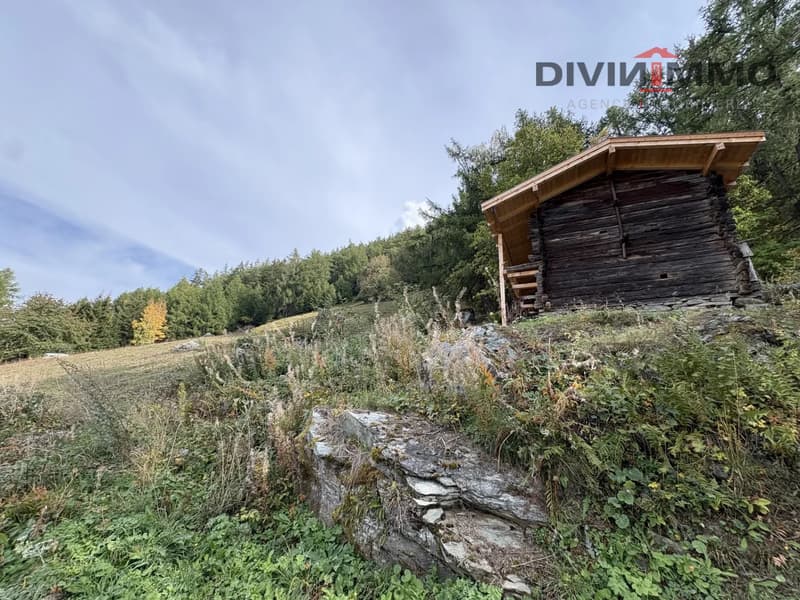 Magnifique parcelle aux portes de Haute-Nendaz (2)