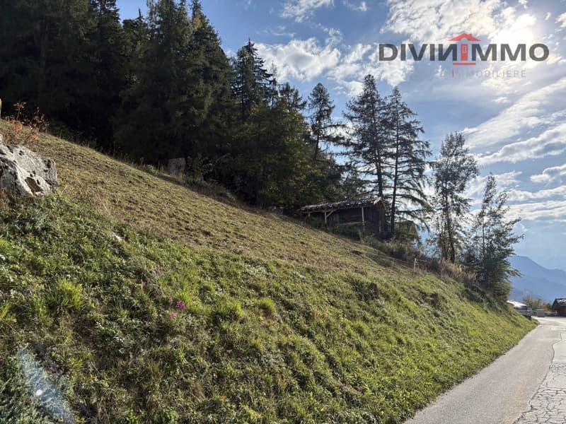 Magnifique parcelle aux portes de Haute-Nendaz (5)