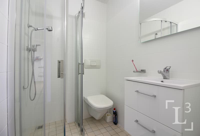 Salle de bain 2 (étage) / Bathroom 2 (floor)