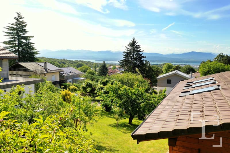 Vue depuis le haut de la parcelle / View from the top of the plot